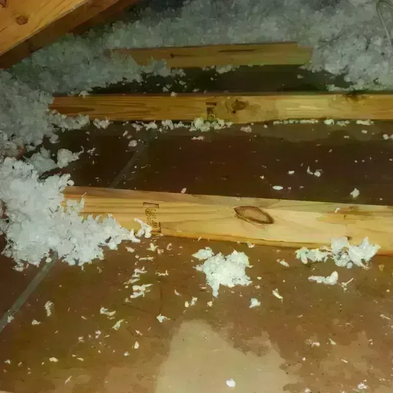 Attic Water Damage in Verona, KY